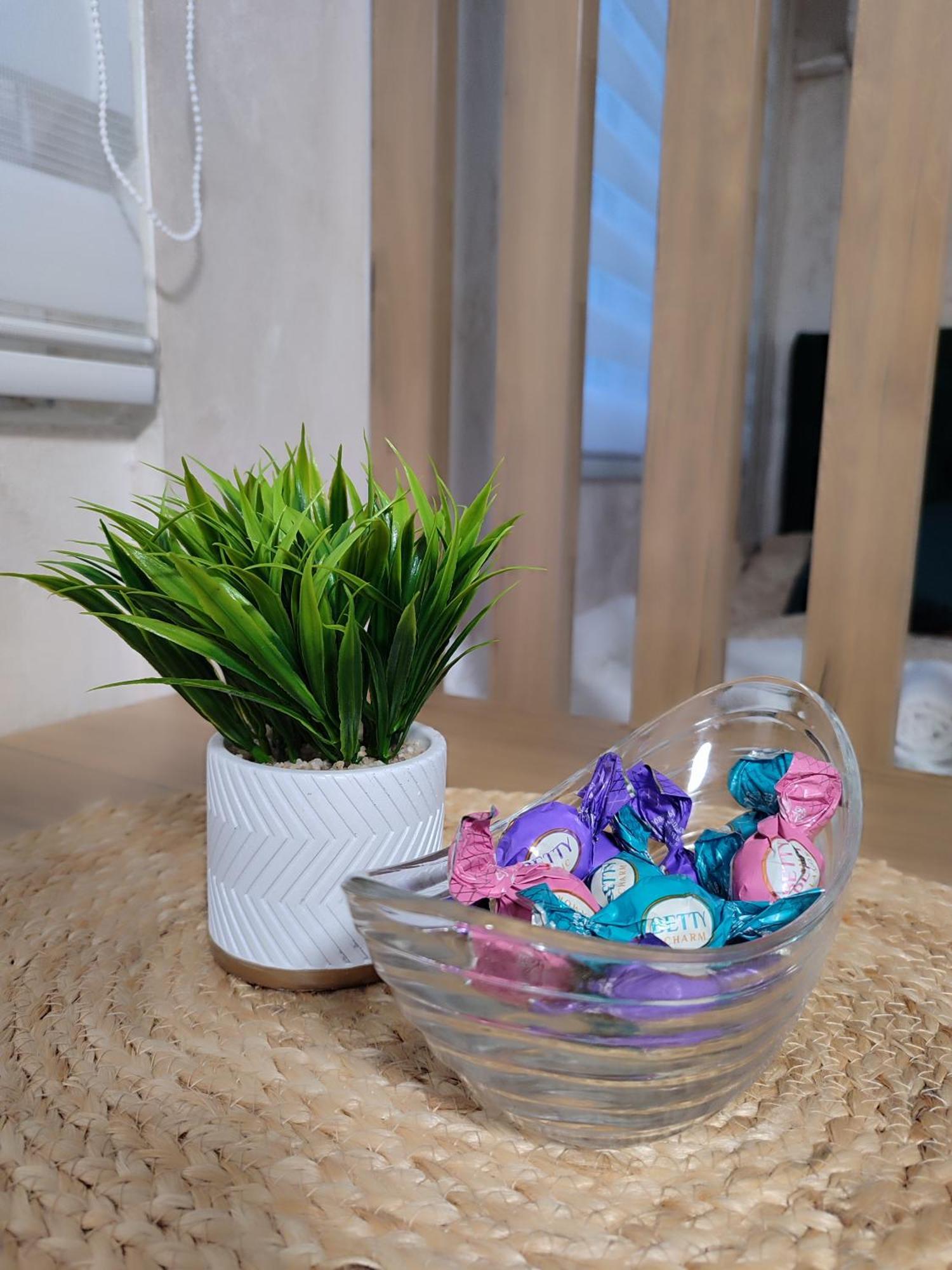 Studio Apartman Free Parking Rubikon Belgrade Room photo